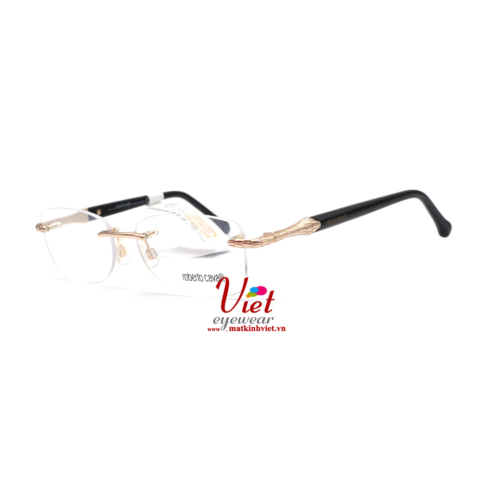 Gọng kính Roberto Cavalli RC951 001